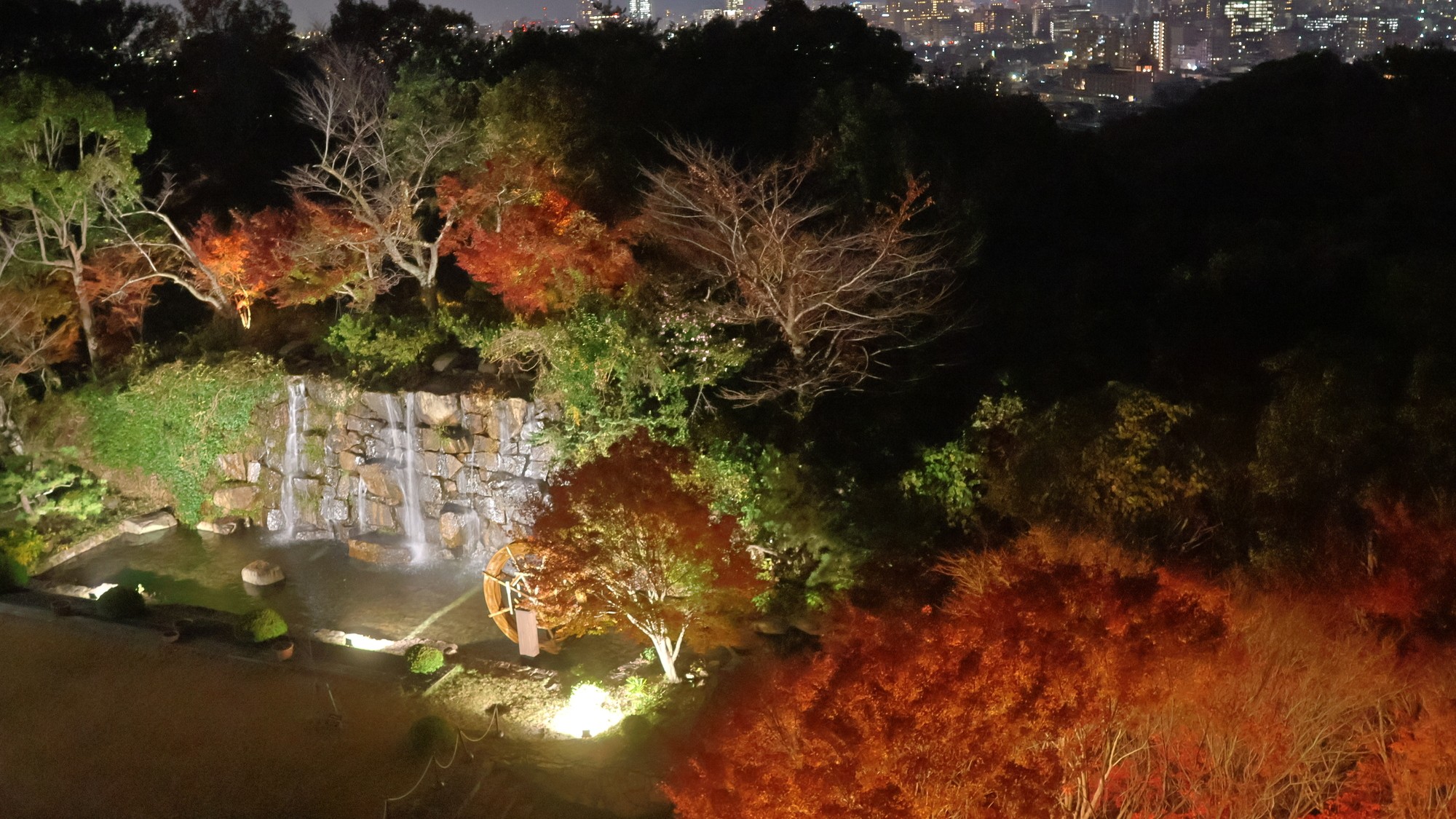 お部屋からの紅葉と夜景