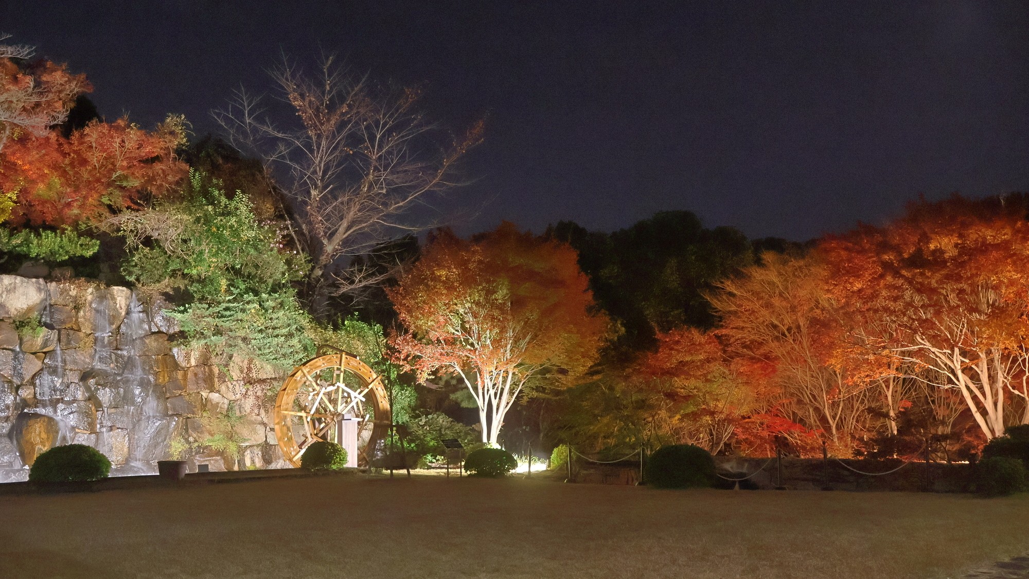 秋　中庭の紅葉と滝