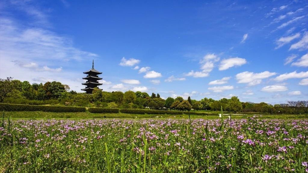 備中国分寺。県内唯一の五重塔。四季折々の花々が周辺に咲く人気のフォトスポット。