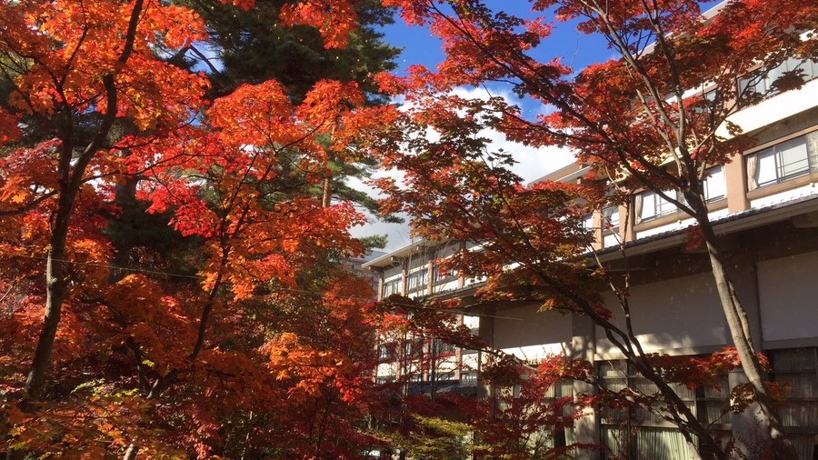 紅葉の日本庭園