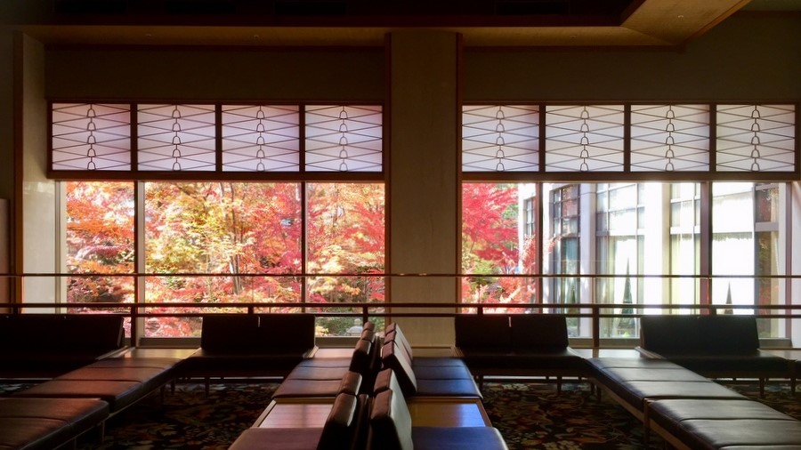 フロントから望む秋