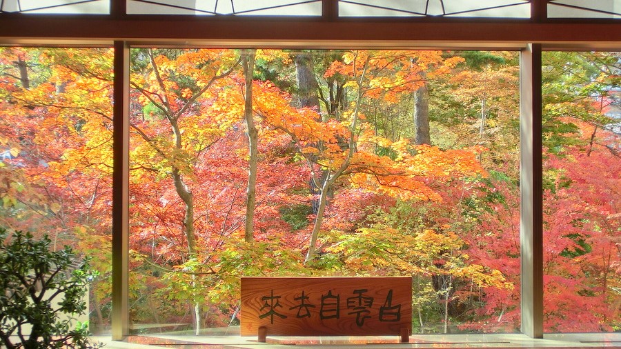 フロントから望む秋