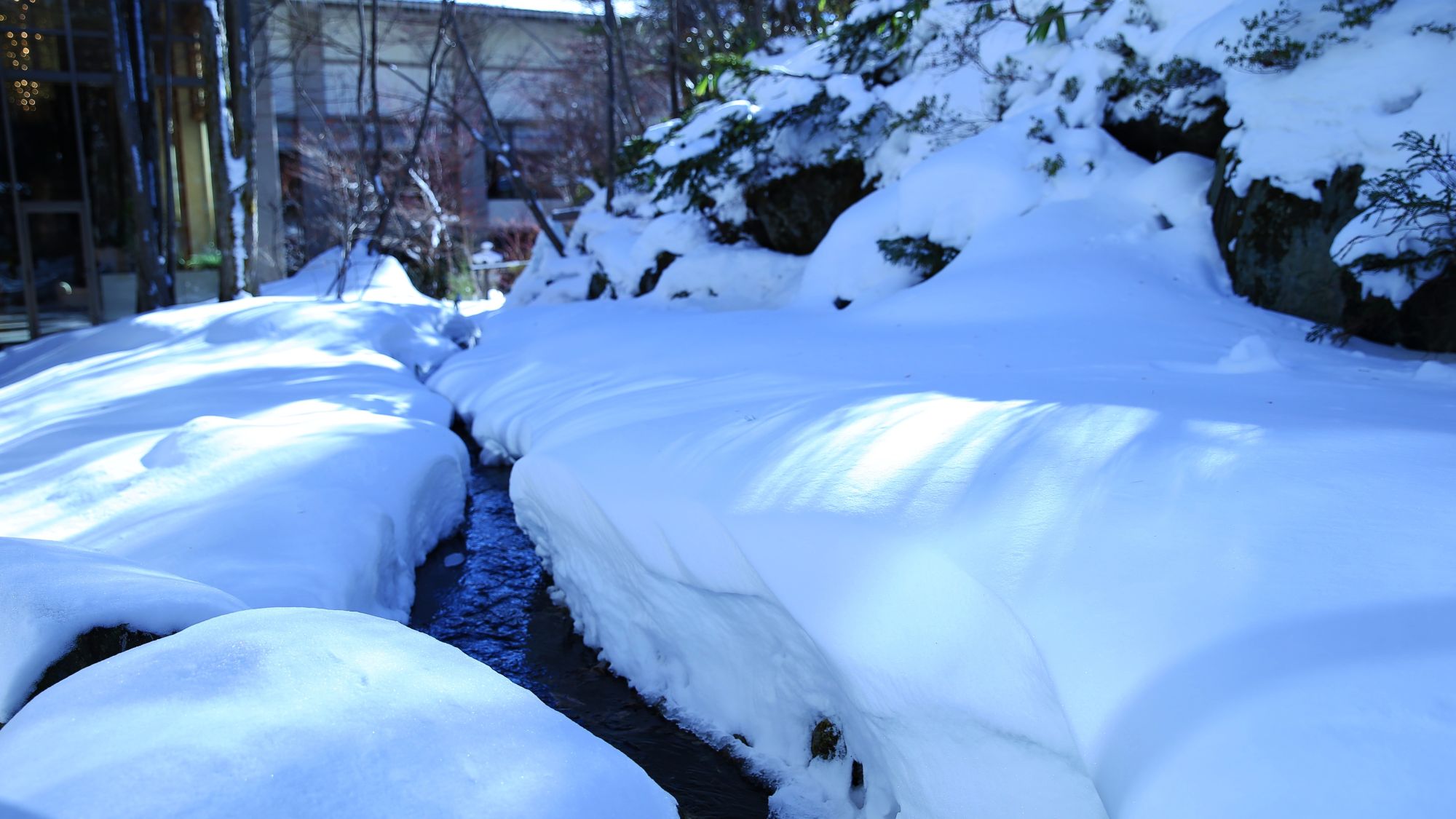 冬景色／日本庭園