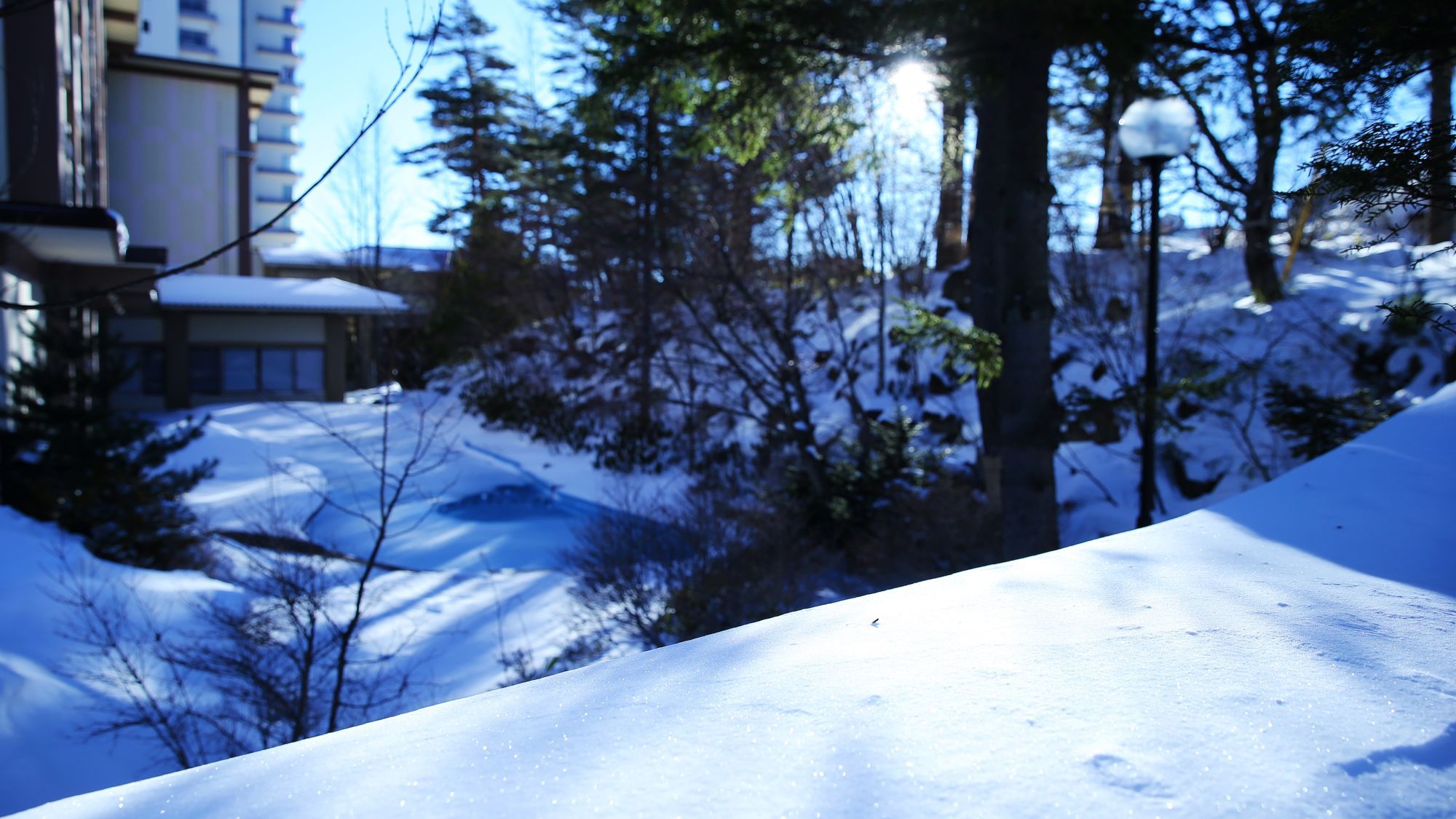冬景色／日本庭園
