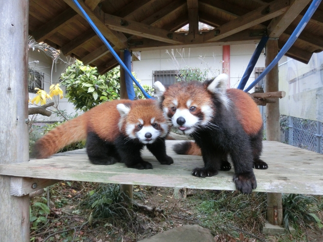 大牟田市動物園