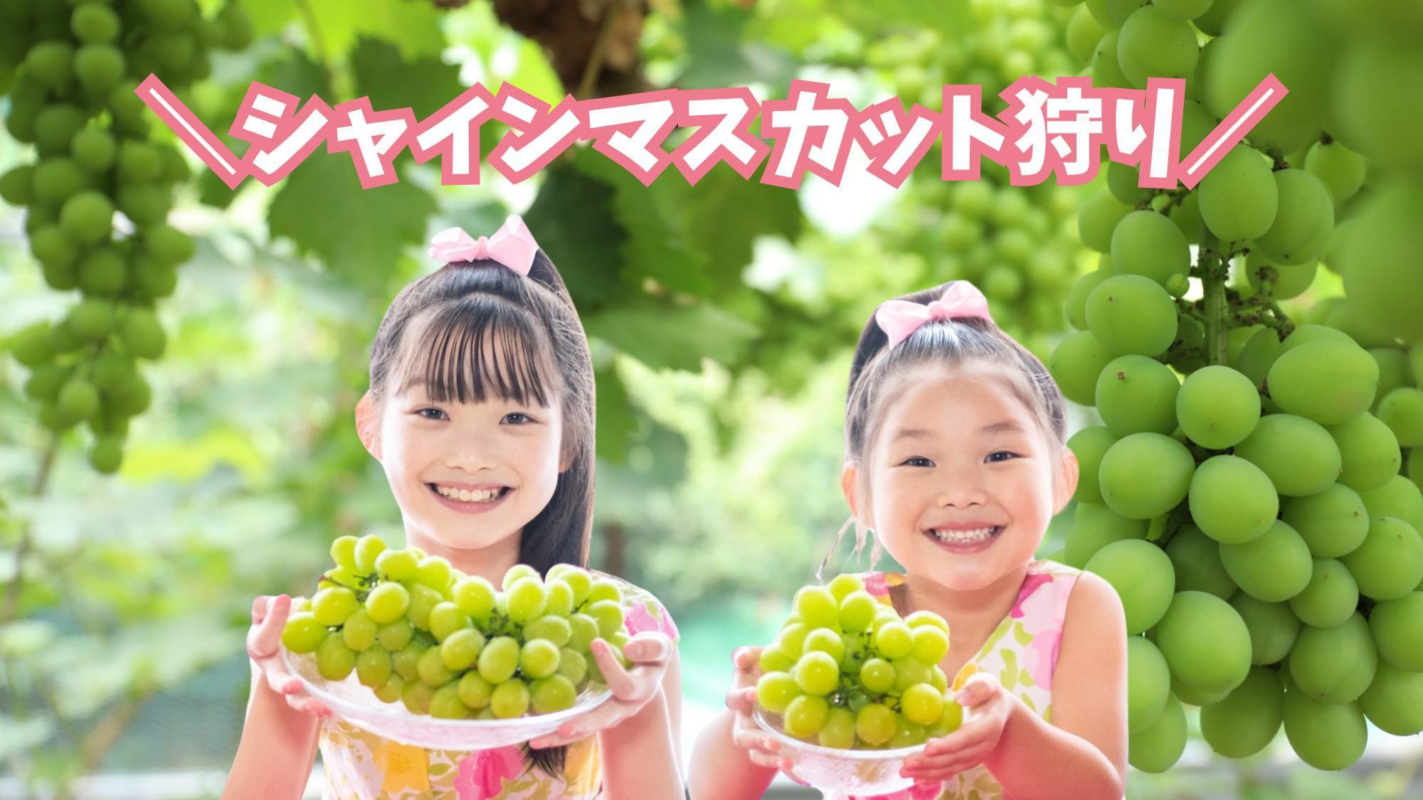 【シャインマスカット狩り】120分間食べ放題！高糖度な石和のシャインを召し上がれ〇甲州牛会席＜花桃＞