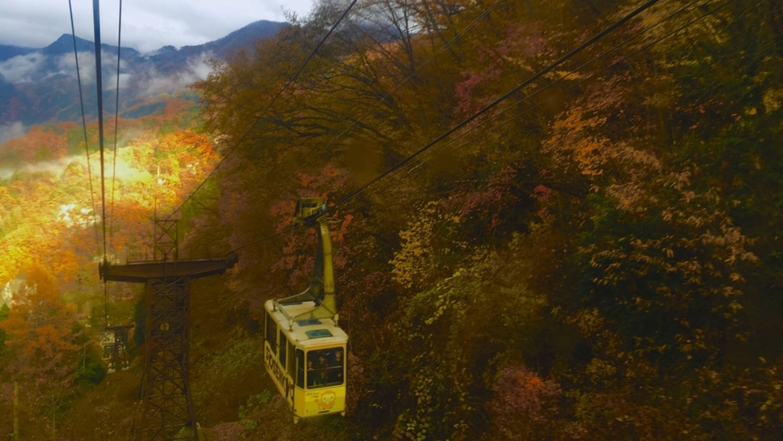 秋の昇仙峡ロープウェイは、紅葉を楽しむのにぴったりです！