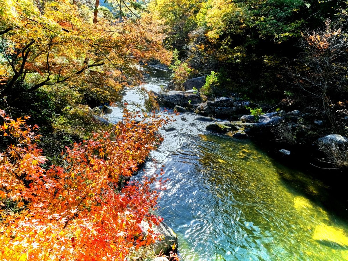 紅葉狩りの人気スポット昇仙峡まで当館よりお車で約45分です。