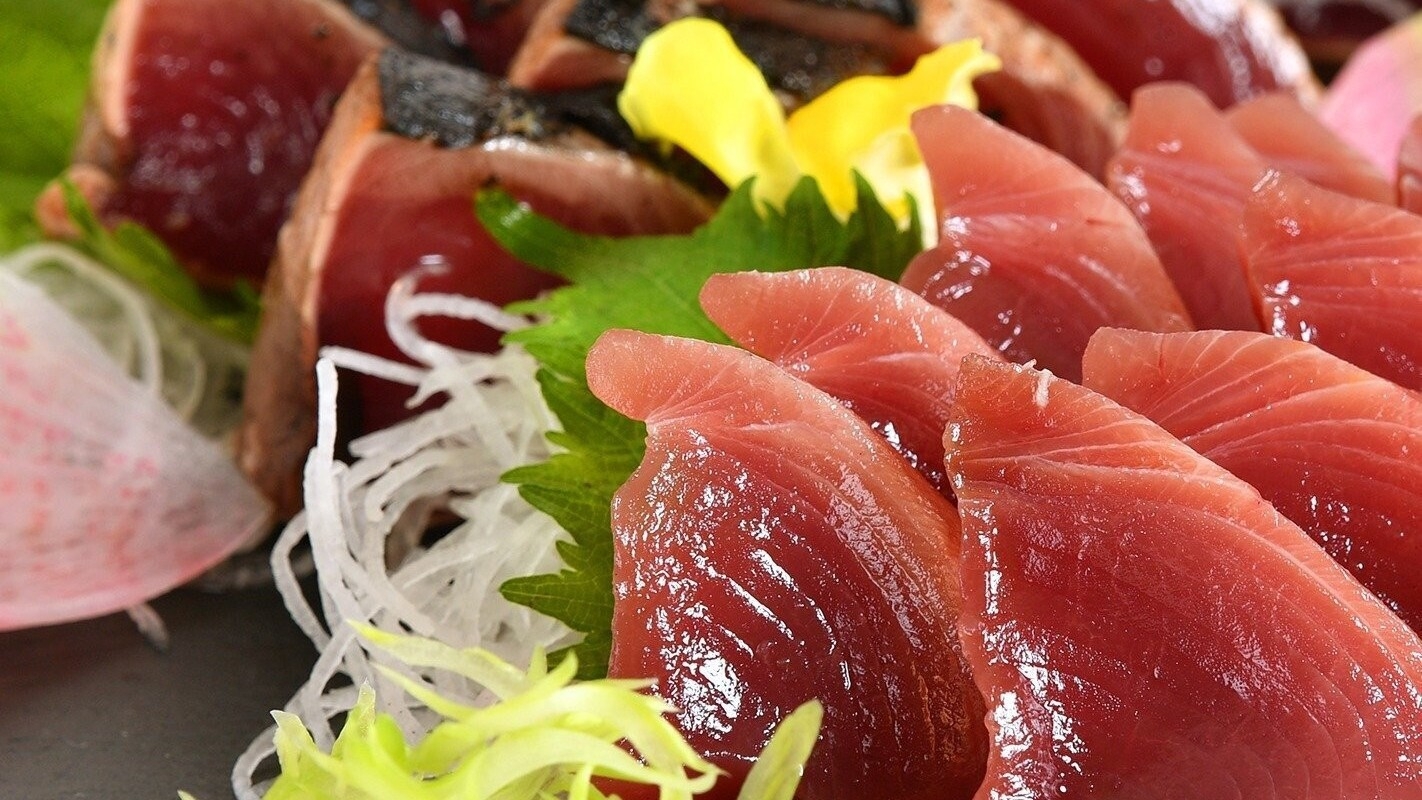 季節限定！水揚げ漁港ならではの鮮度バツグンのかつおを食べつくせ！かつお三昧＆気仙沼名物フカヒレプラン