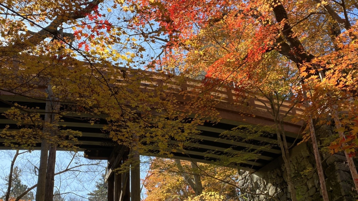 【秋旅限定】心ときめく紅葉と美食の旅×全室温泉露天風呂付。選べる創作ディナー ＜最大29％OFF＞