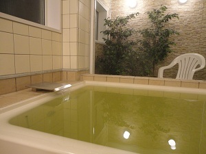 はやま温泉　はやまの湯