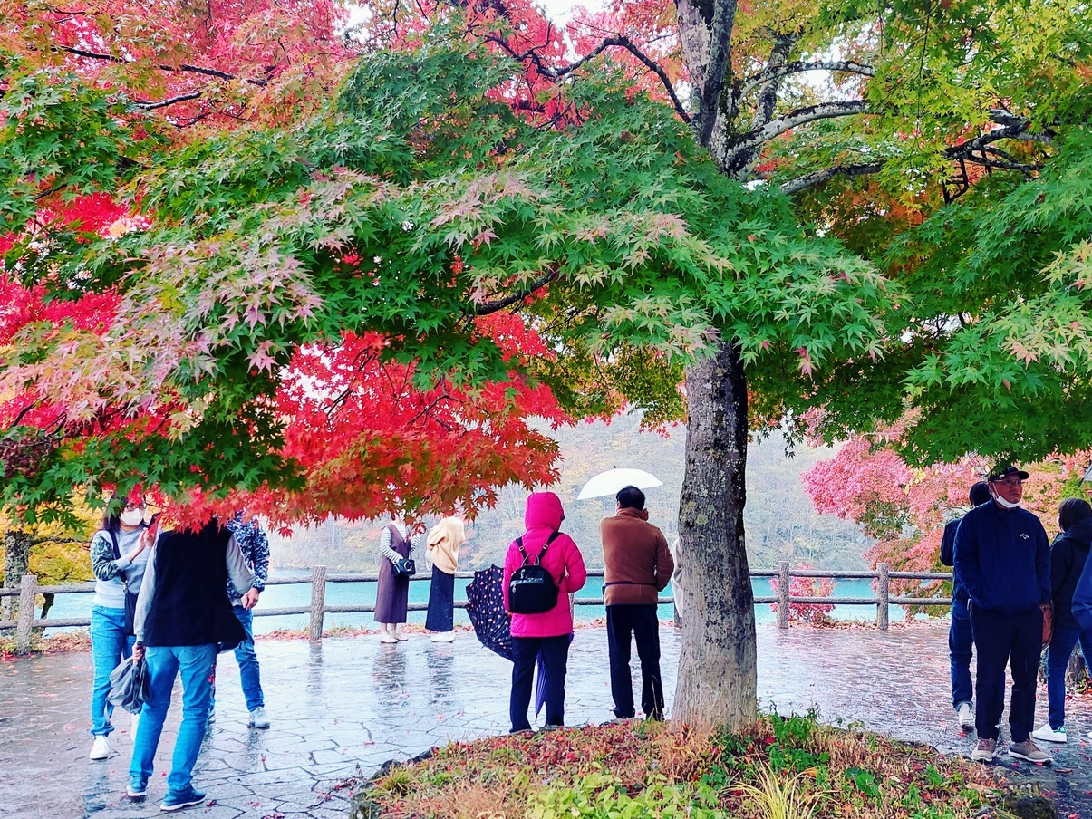 【５０歳以上限定】イキイキ旅行応援！お１人様でも歓迎♪