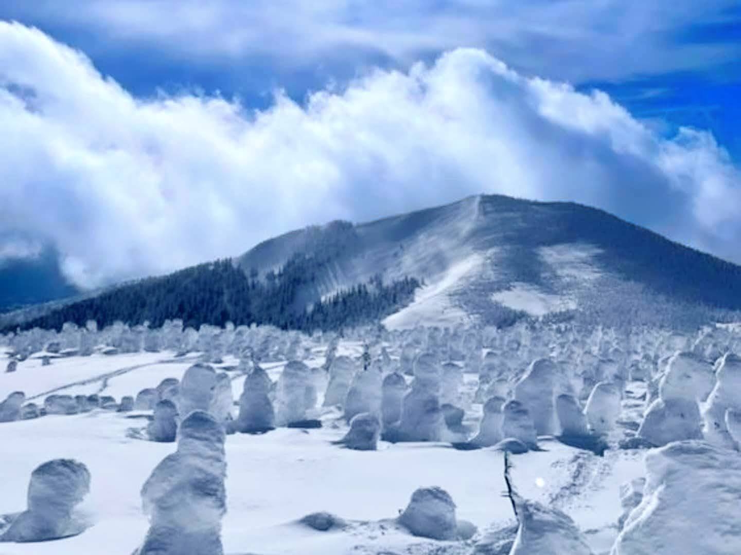 【お１人様】お１人様でも大歓迎！ご旅行をもっと楽しく♪