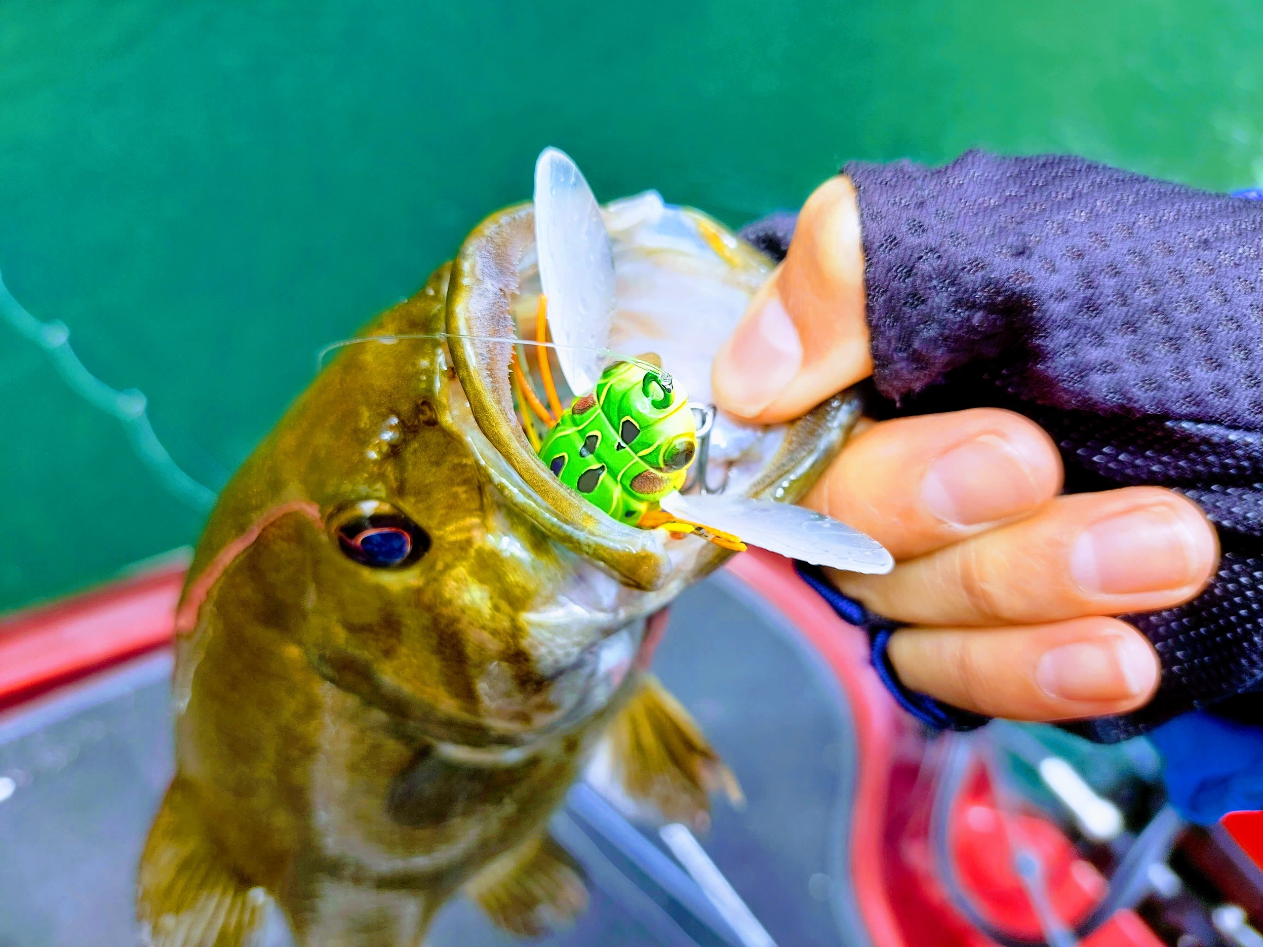【登山・釣り・撮影】　早朝チェックアウトＯＫ！「夕食付き」プラン