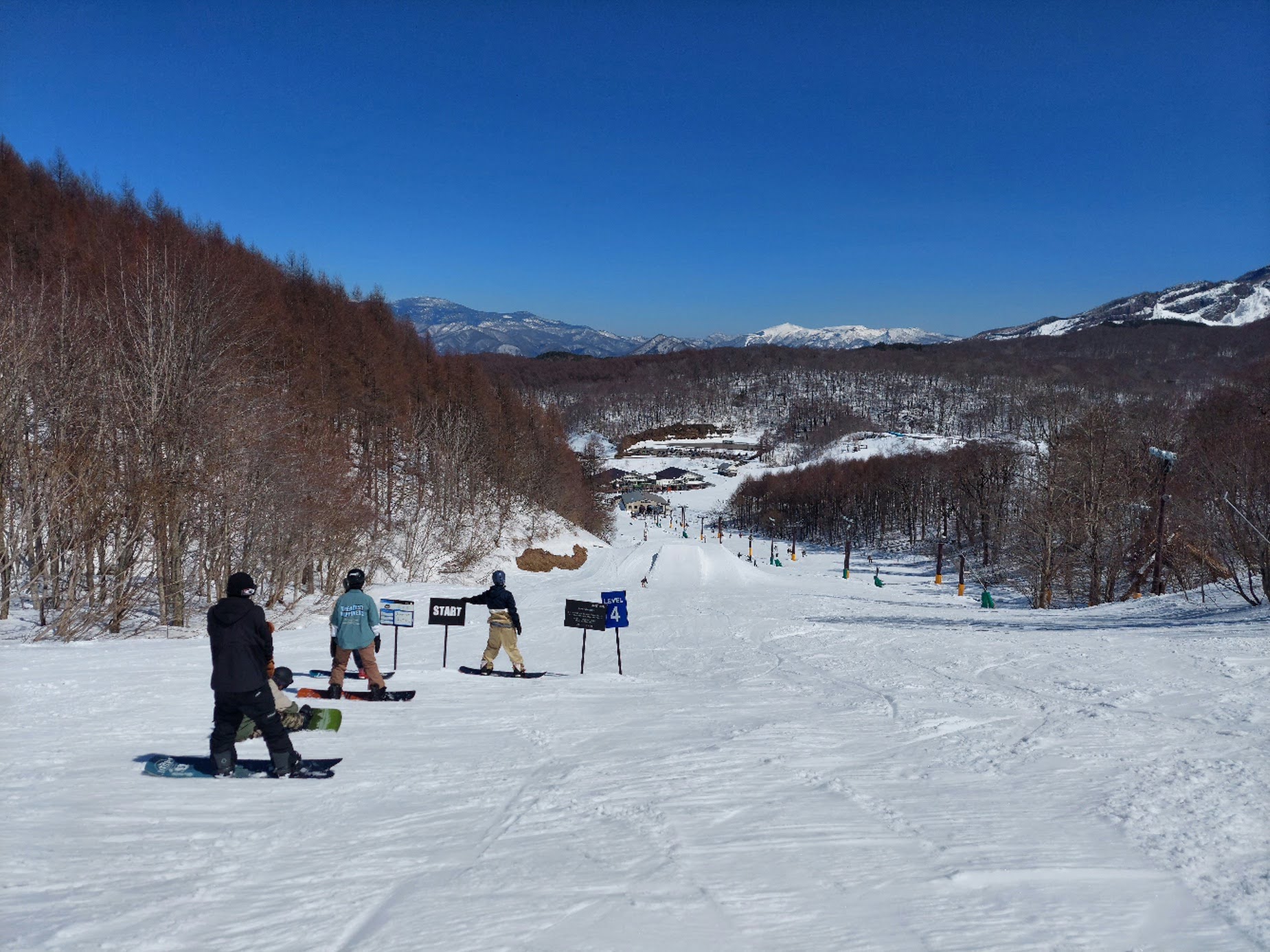 ネコママウンテン・北エリアの春