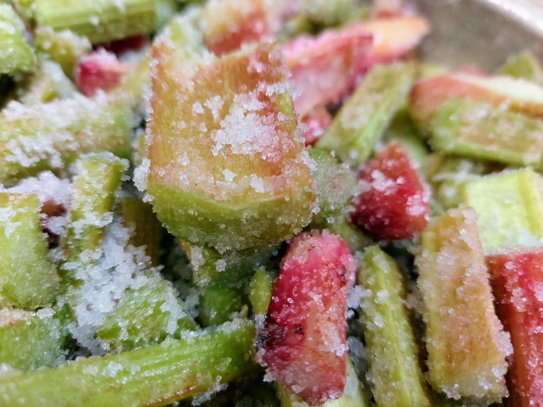 地元産「ルバーブ」でジャム作り♪