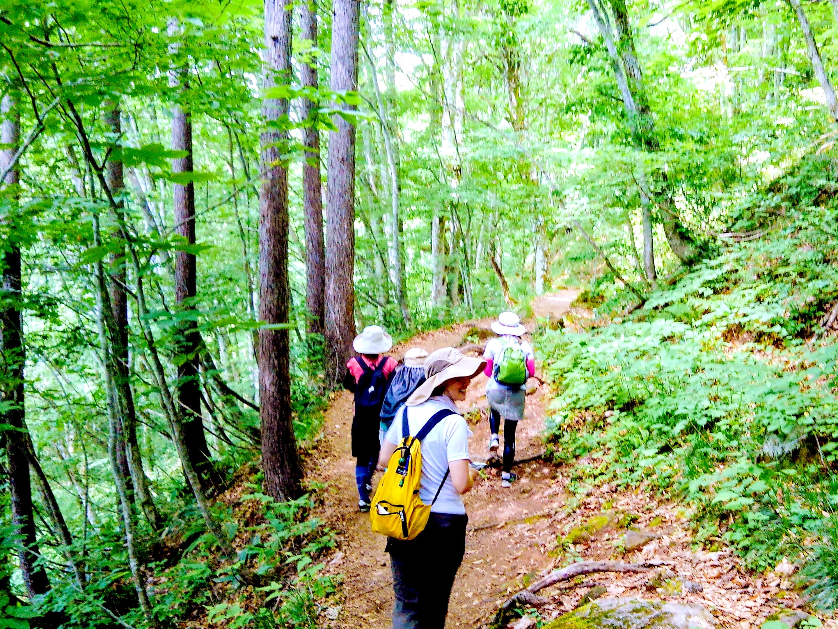 山登りやトレッキングが気持ちいい！