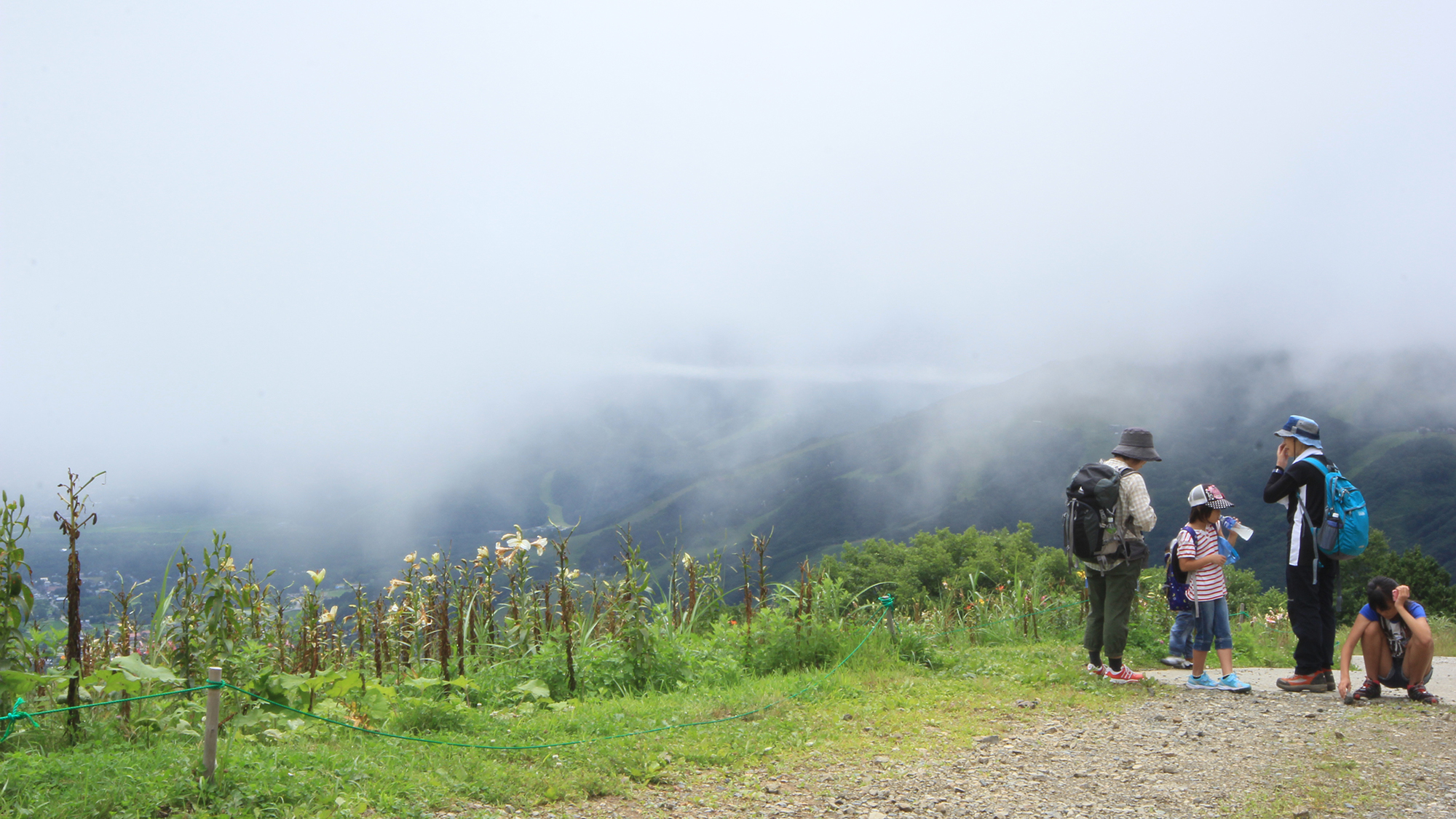 【アクティビティ】白馬岩岳ゆり園