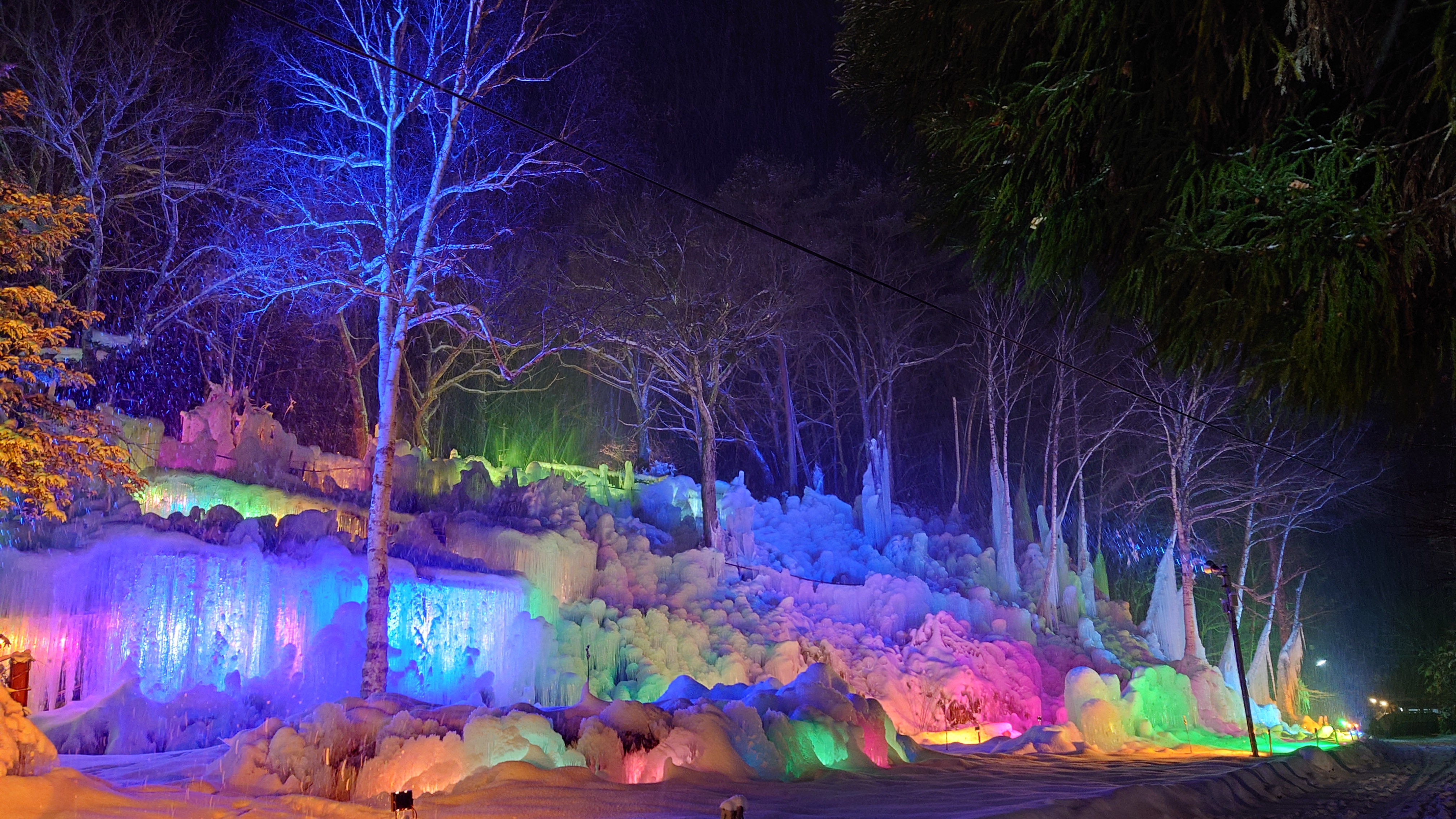 秋神温泉が企画制作ライトアップする幻想的な氷点下の森