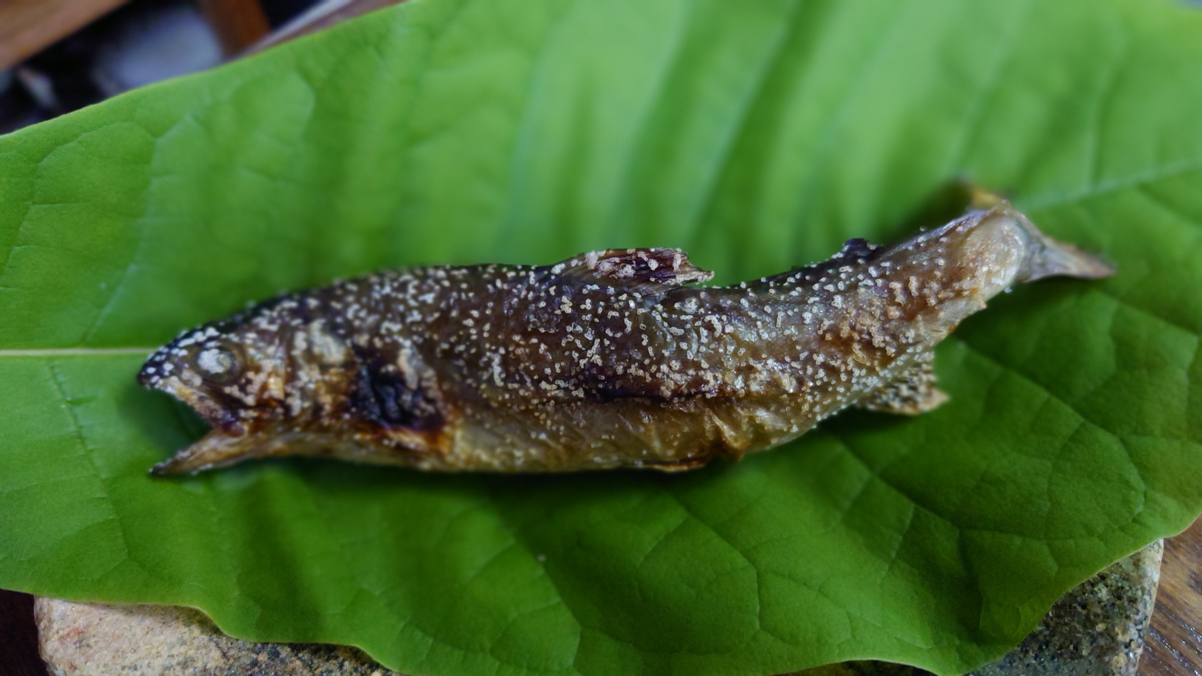 岩魚の塩焼き