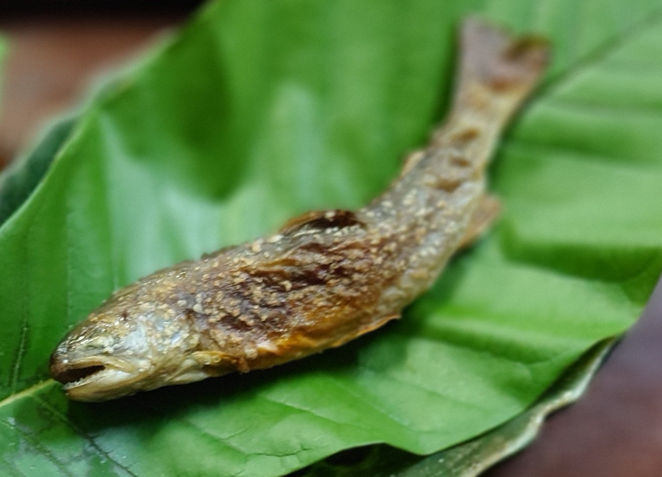 一味違う岩魚塩焼き
