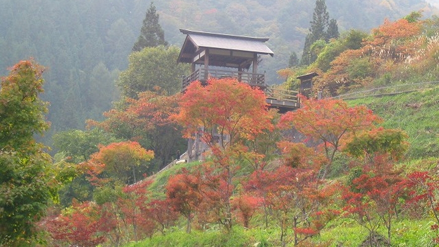 【園原紅葉】