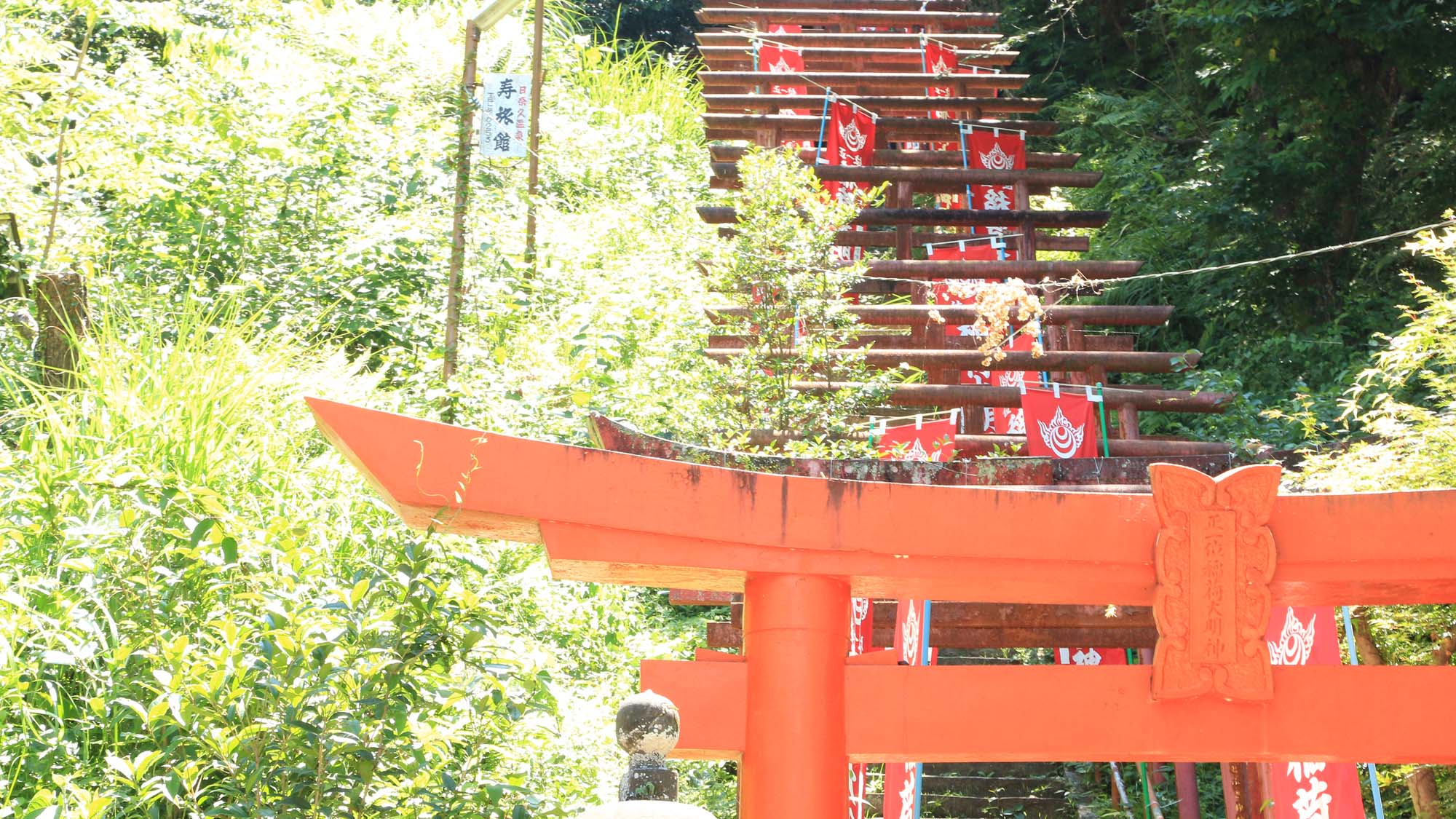 【周辺】温泉神社へ続く階段