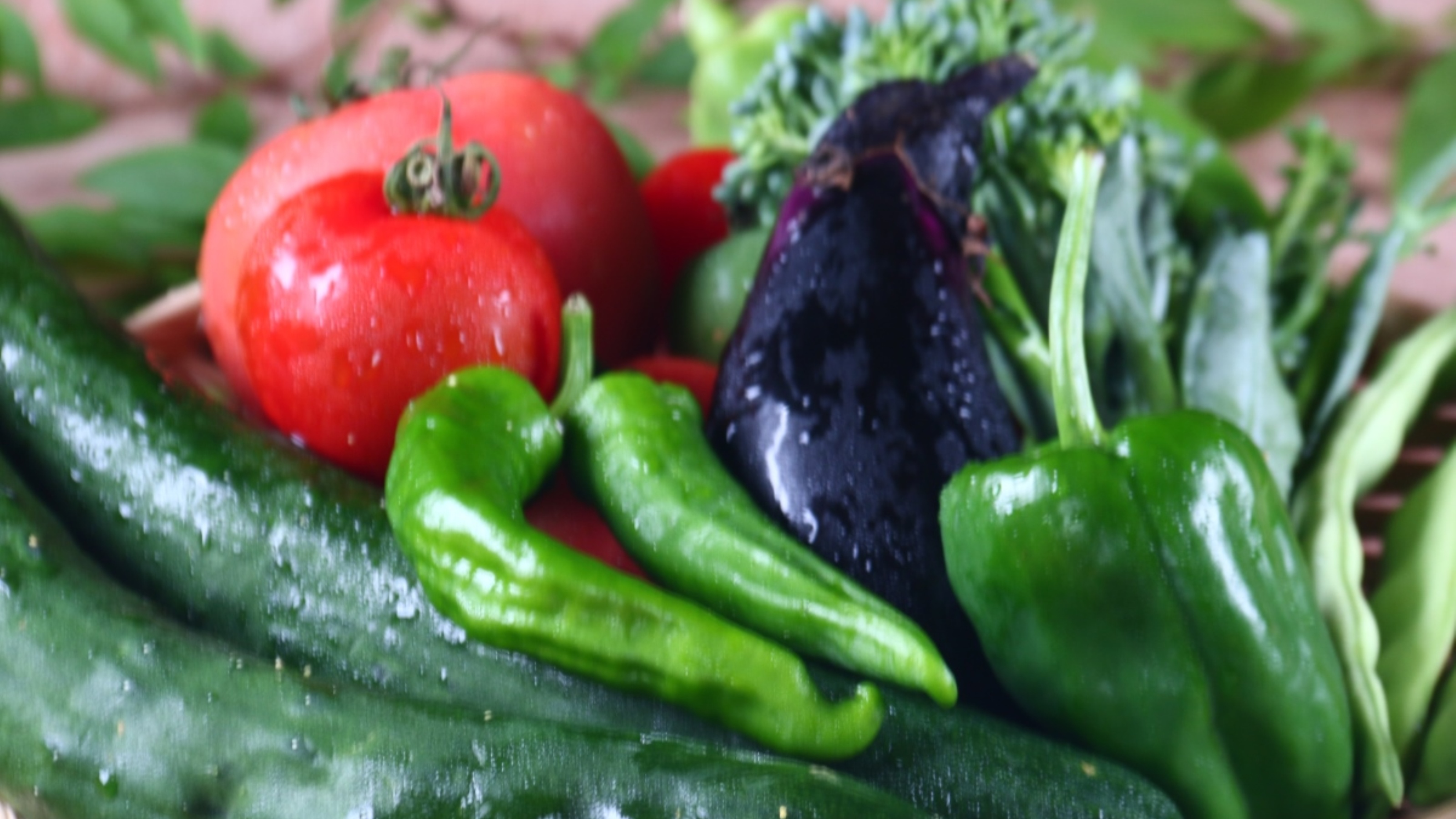 ★採れたての新鮮野菜