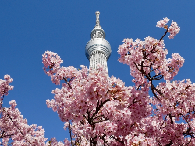 【素泊り】連泊でお得！プチ旅応援プラン☆