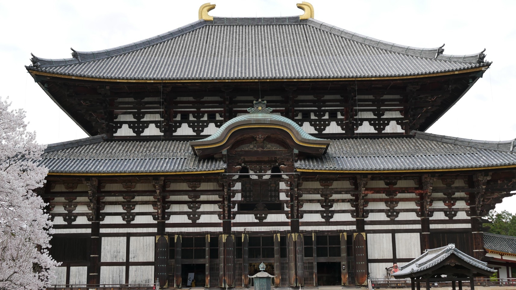 【GW】世界遺産巡りに最適！ご夕食は明神会席をご用意！ホテル杉の湯GWプラン