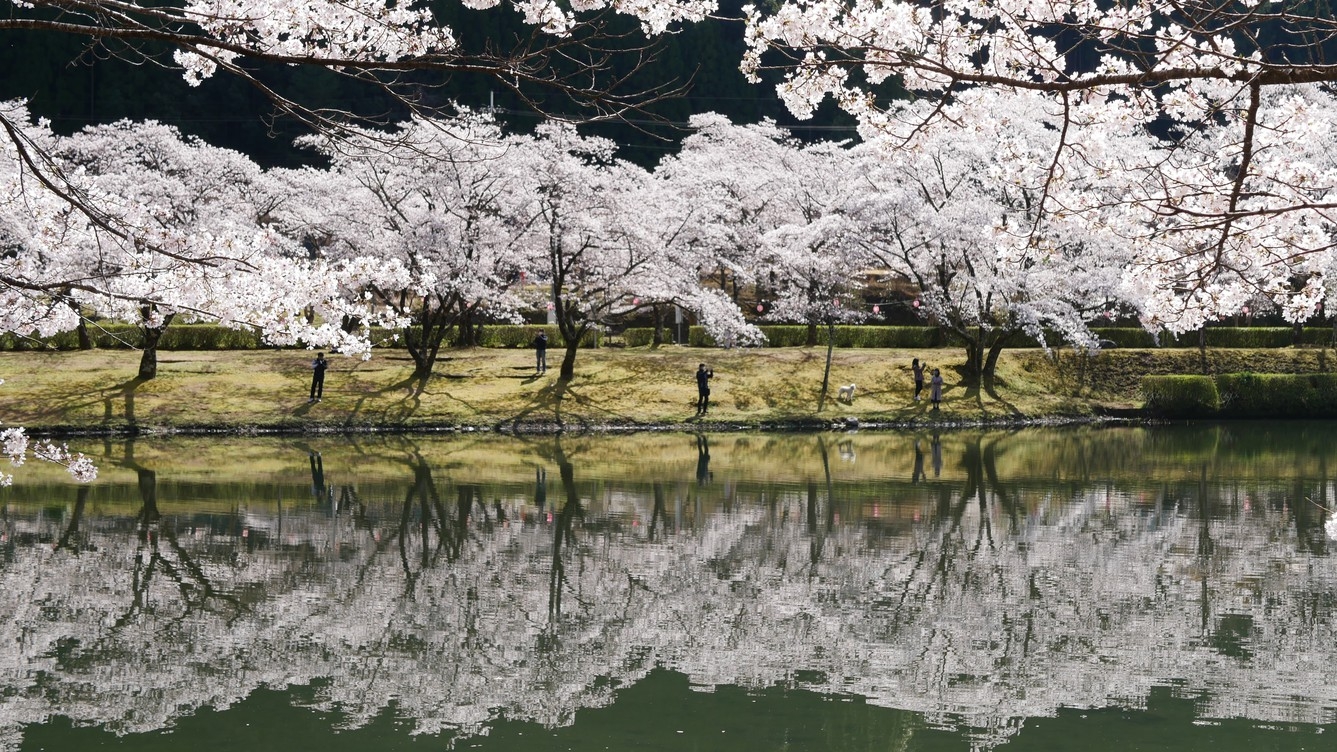 【さき楽90】春のご予約は90日前迄がお得！夕食は明神会席をご用意！ホテル杉の湯早期割引プラン