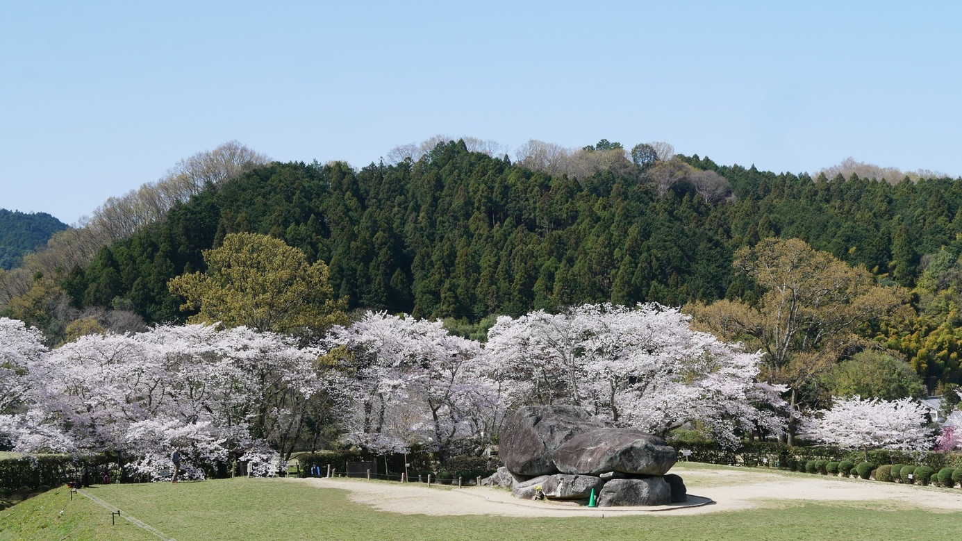 【さき楽90】春のご予約は90日前迄がお得！夕食は龍神会席をご用意！ホテル杉の湯早期割引プラン