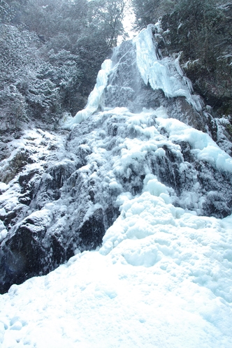 御船の滝氷瀑ツアー