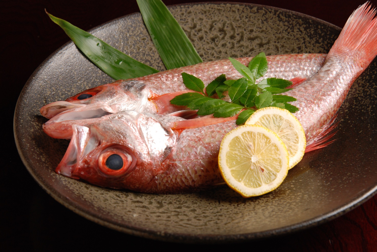 【ノドグロ食べたい！】咽黒塩焼きと旬魚の舟盛プラン【２階和室・禁煙】≪夕食：部屋食≫