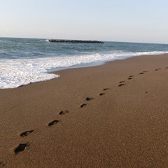 海辺の足跡