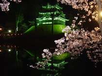 日本三大夜桜