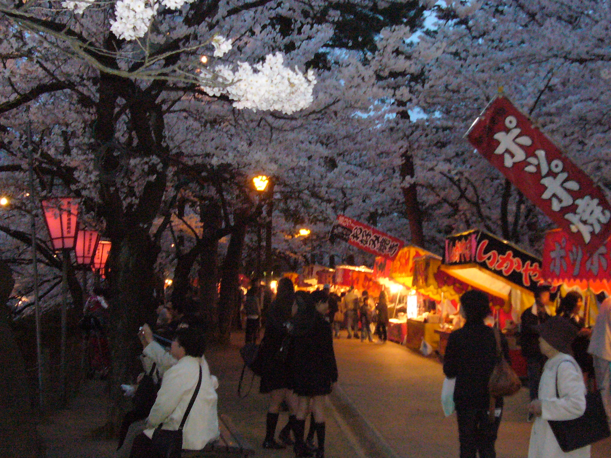 高田城址公園観桜会