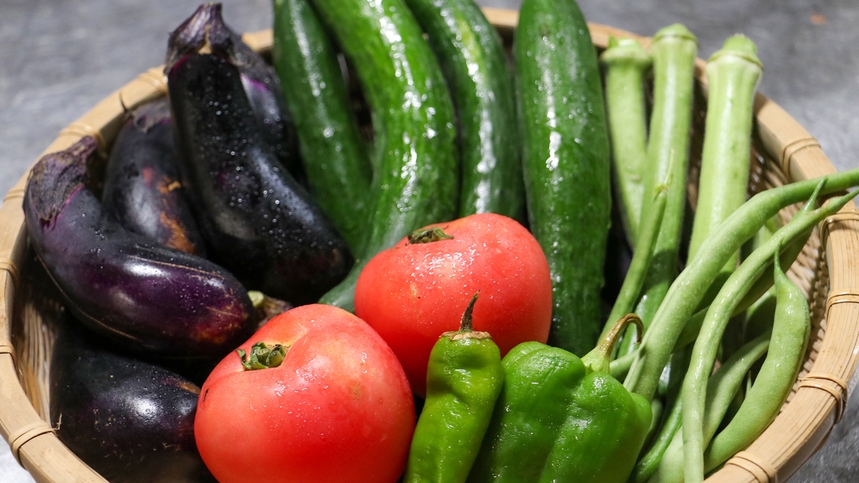【朝食付】＼人気No.1プラン／採れたて野菜×彩り豊かな和朝食で始める贅沢な一日