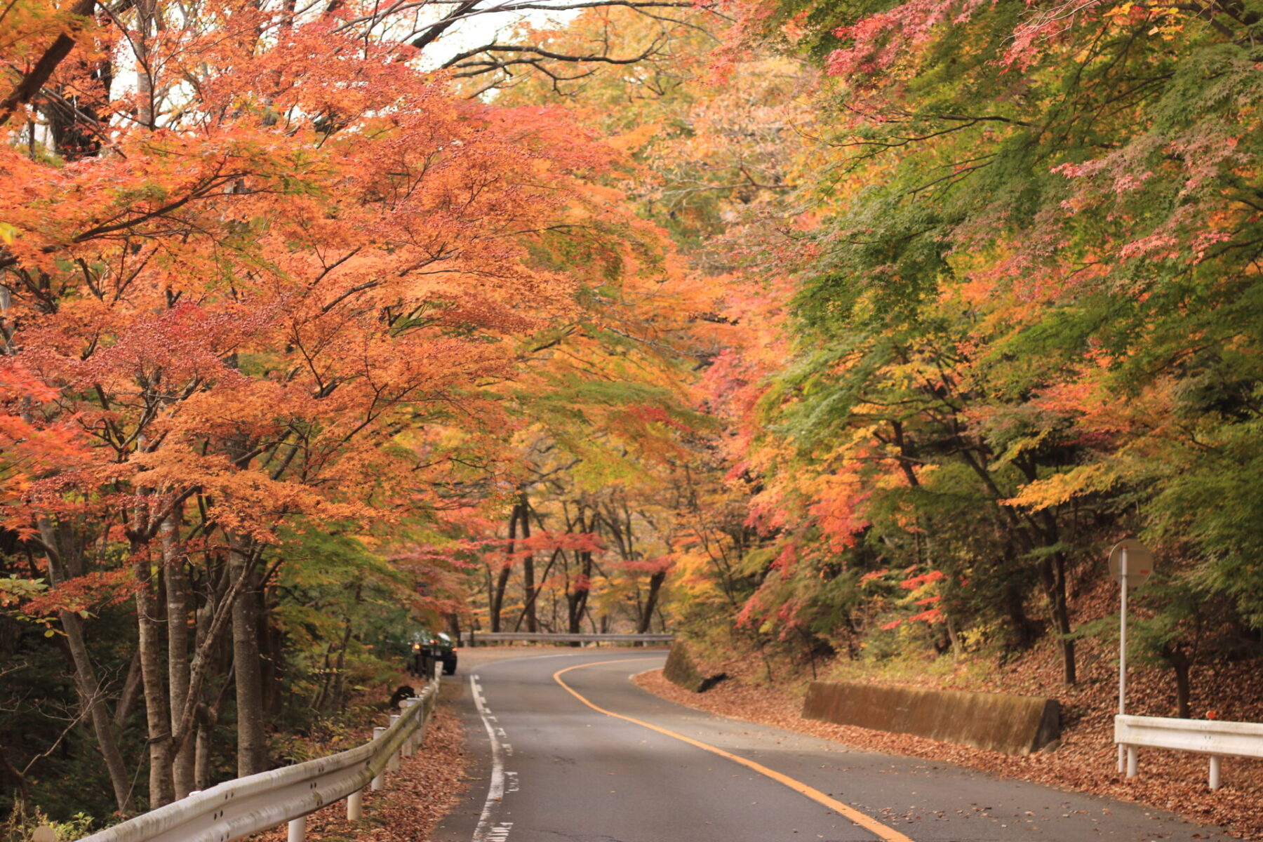 紅葉の塩原