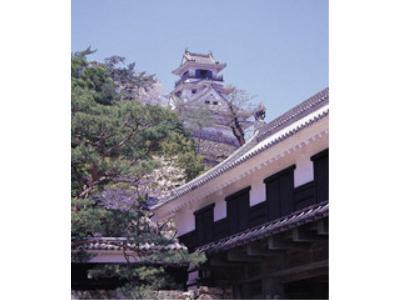 ブライトパークホテル - 写真 93