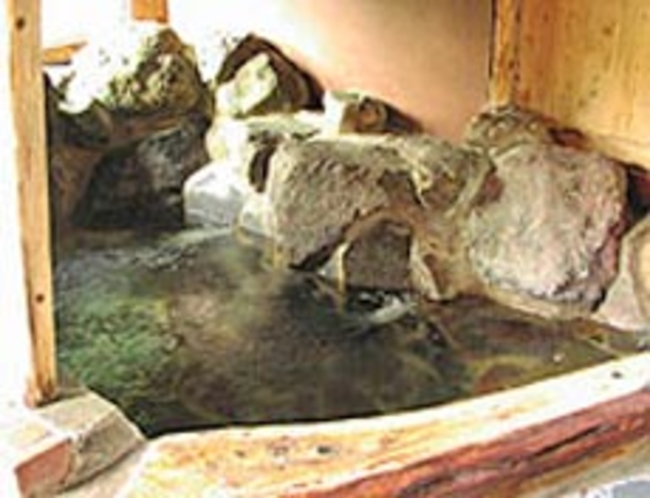 天然地下水のドーム風呂