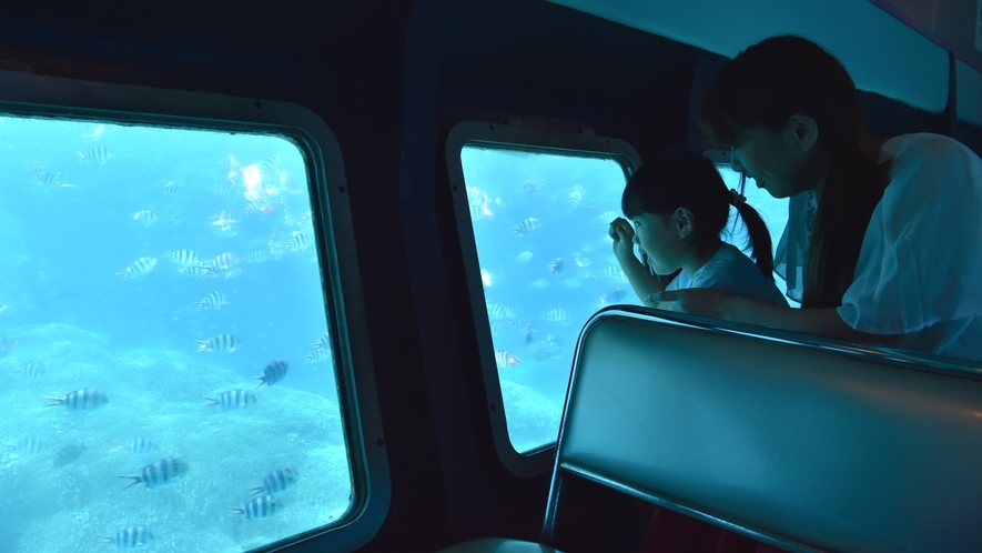 【半潜水式水中観光船「シースカイ博愛」】水深25mの美しい海の世界をお楽しみください