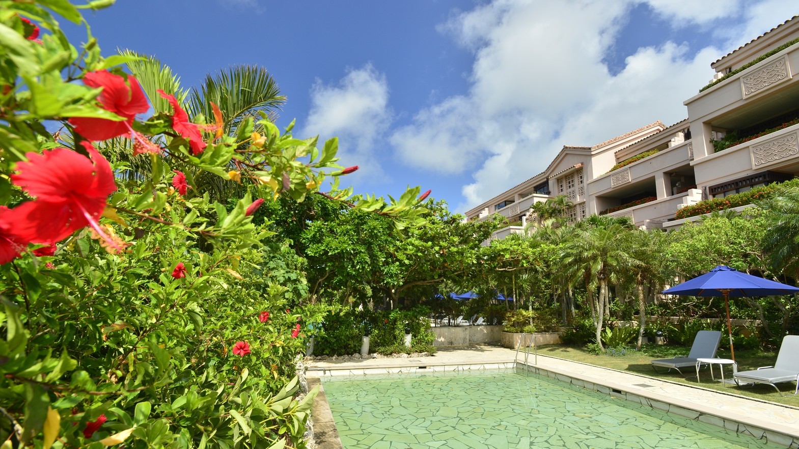 【春SALE】色彩のリゾート〜贅沢なときを過ごす洗練された大人のための楽園〜/朝食付