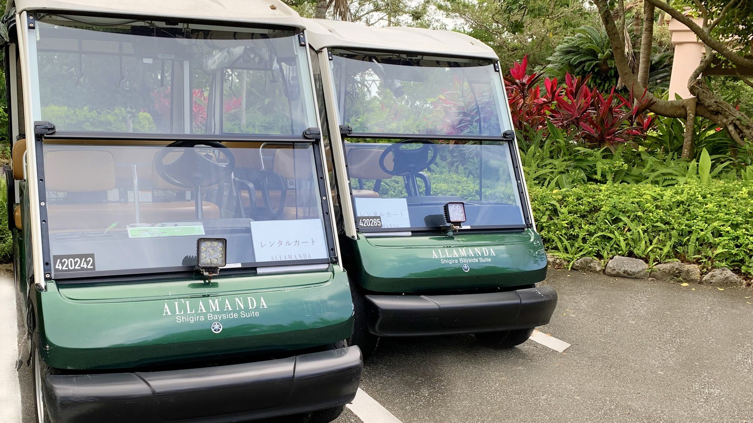 【専用カート・ラウンジ利用付】南国の花と緑に囲まれたスイートヴィラで、非日常のリゾートステイ/朝食付