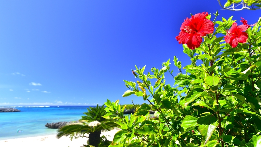 【リゾート利用券付】プールヴィララグーンスイート指定/朝食付