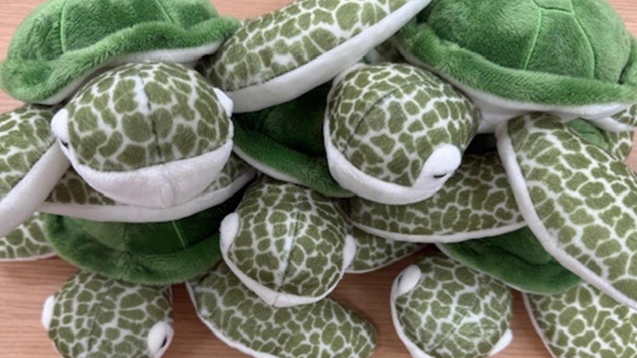 【お子様との宿泊がお得！】お子様料金半額＆カメのぬいぐるみ付きプラン/素泊まり