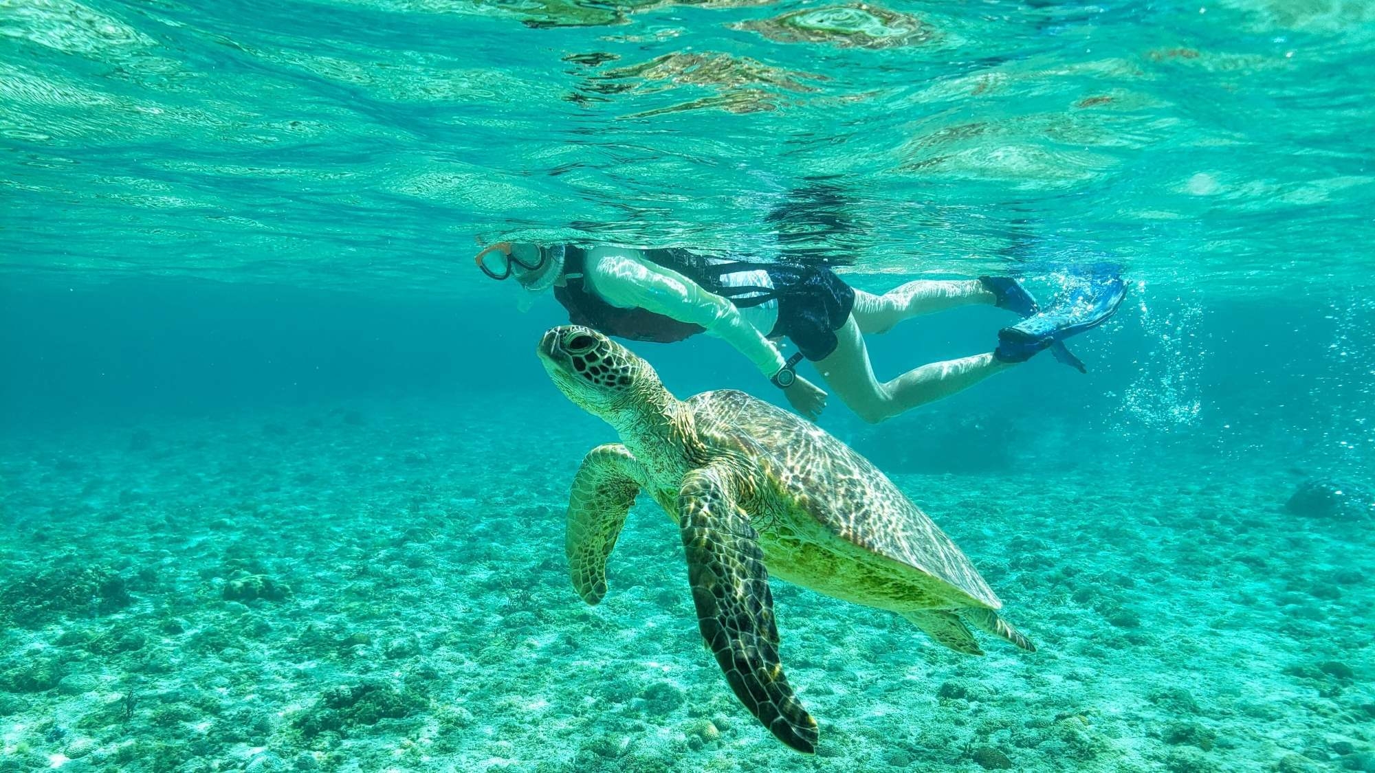 【楽天月末セール】-ゆったり流れる島時間- 海を眺めながら過ごす、癒しのリゾートステイ/素泊まり