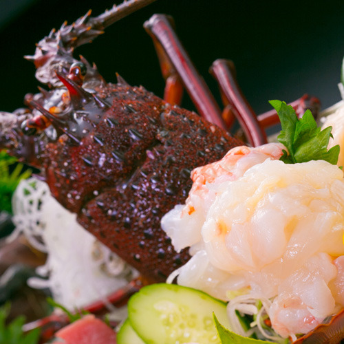 กุ้งมังกรตัวใหญ่พิเศษ