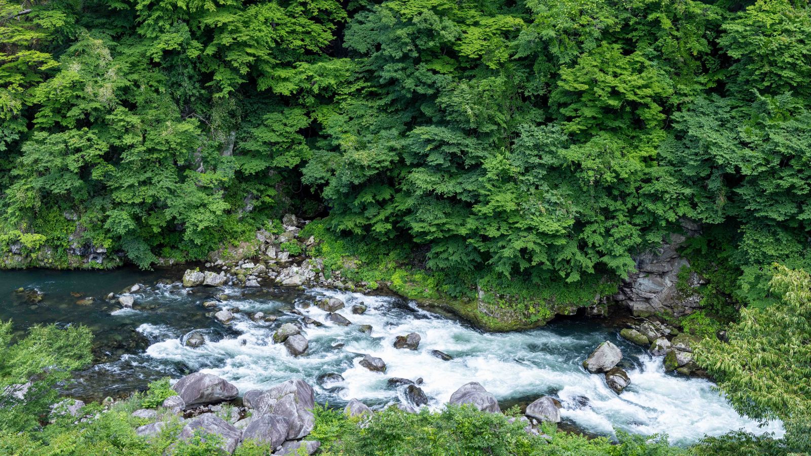鬼怒川温泉 ほてる白河湯の蔵 - 写真 2