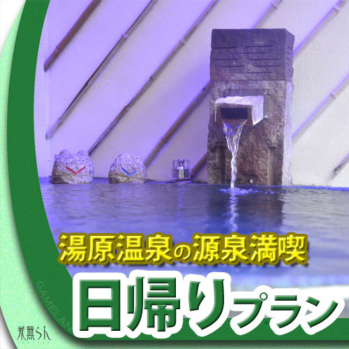 湯原温泉 我無らん 日帰り バリスタイルのお部屋で温泉満喫 ランチ 源泉掛け流し デイユース２時間プラン 楽天トラベル